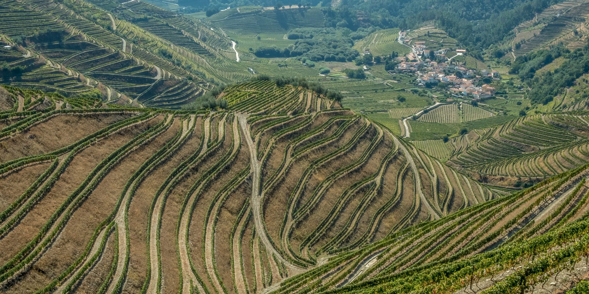 Countryside in Vila Real, Douro Valley.jpg
